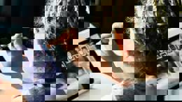 Connect with Respect (SEND)