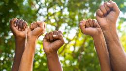 Black History Month toolkit