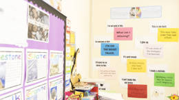 Behavioural programmes
